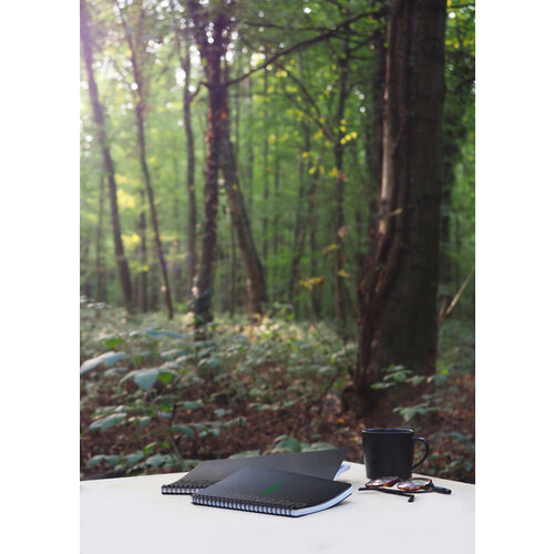 Rhodia Cahier de notes Rhodia Greenbook A4 ligné 4 perforations 180 pages 90g noir