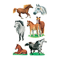 HERMA Etiquette HERMA 3553 Races de chevaux