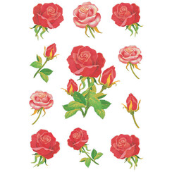 Etiquette HERMA 3581 Roses