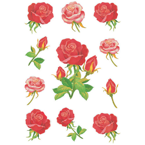 HERMA Etiquette HERMA 3581 Roses