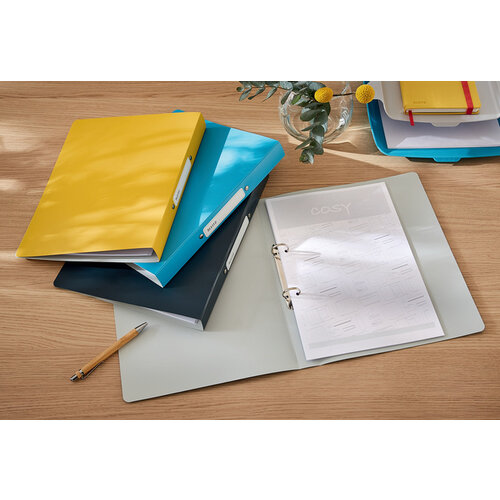 Leitz Classeur Leitz Cosy A4 2 anneaux méc-O 25mm PP gris