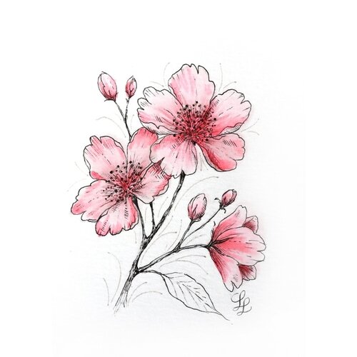 Sakura Tekenset Sakura Creative Kit Cherry Blossom 6 stuks
