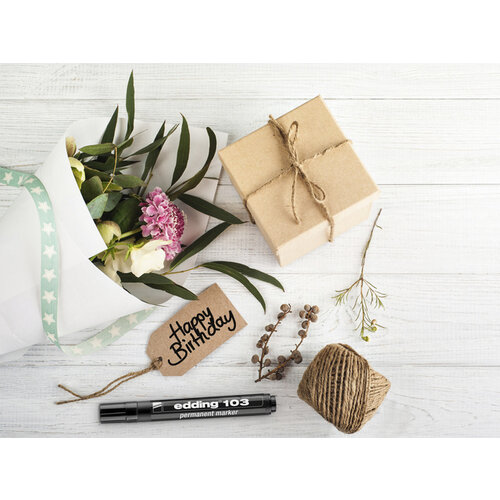 edding Feutre edding 103 ogive Medium noir