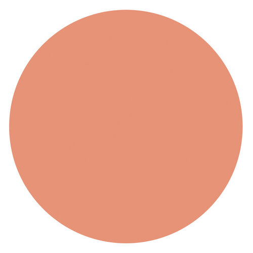 Stabilo Markeerstift STABILO Boss 70/175 nature colors sienna