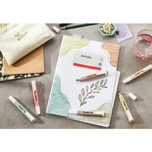 Stabilo Surligneur STABILO Swing Cool NatureCOLORS assorti 6 pièces