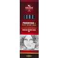 Koh-i-noor Crayon graphite Koh-I-Noor Progresso 8915 HB 8B + aqua