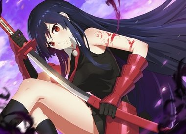 Akame Ga Kill