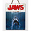 Doctor Collector Jaws - WoodArts 3D - Houten wanddecoratie Haaienaanval 30 x 40 cm