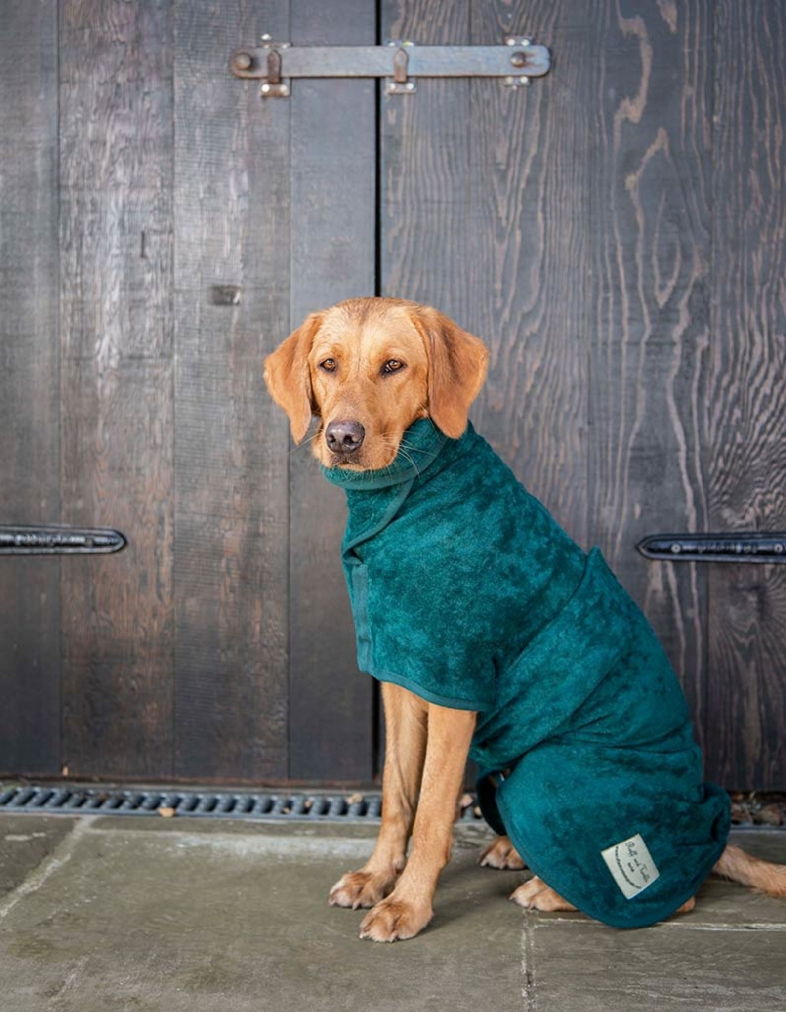 Dog Drying Coat | Bottle Green  (last S/M/Dachshund)