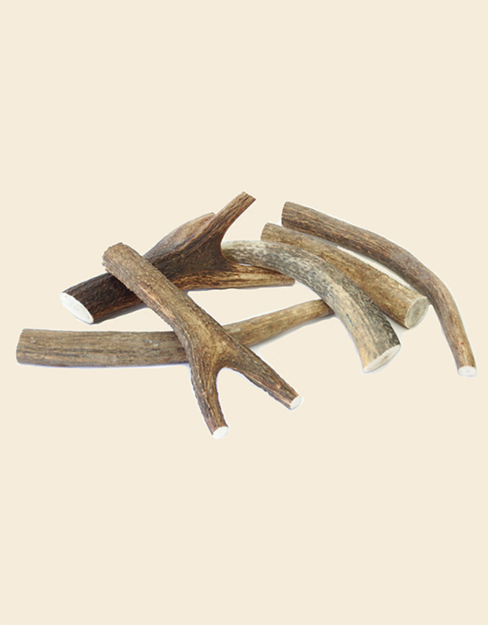 Deer Antler Chewing Bone Dogs | Hard