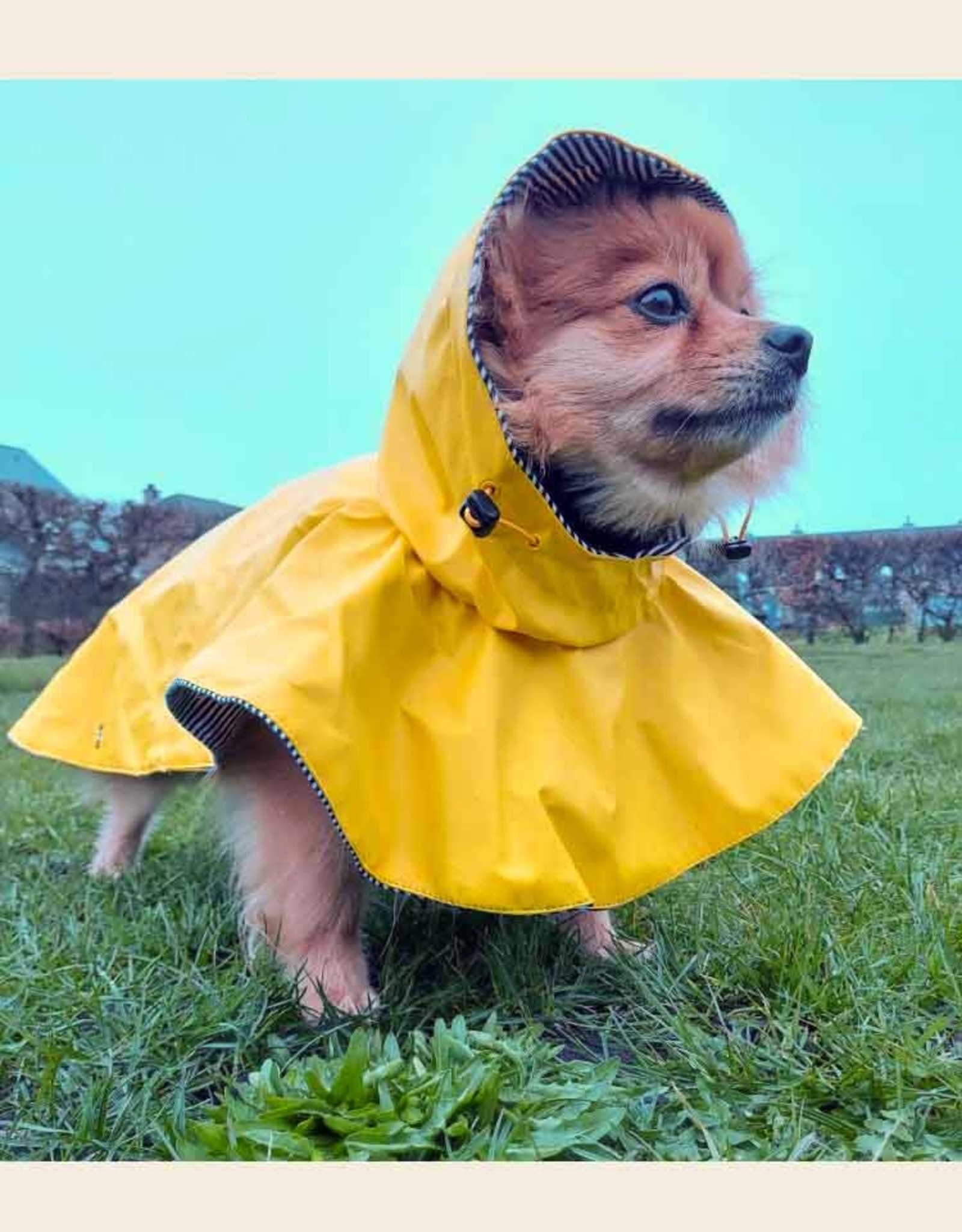 Yellow Raincoat for Dogs with Hood | Ferribiella