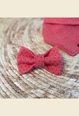 Bow Tie | Watermelon Sugar High