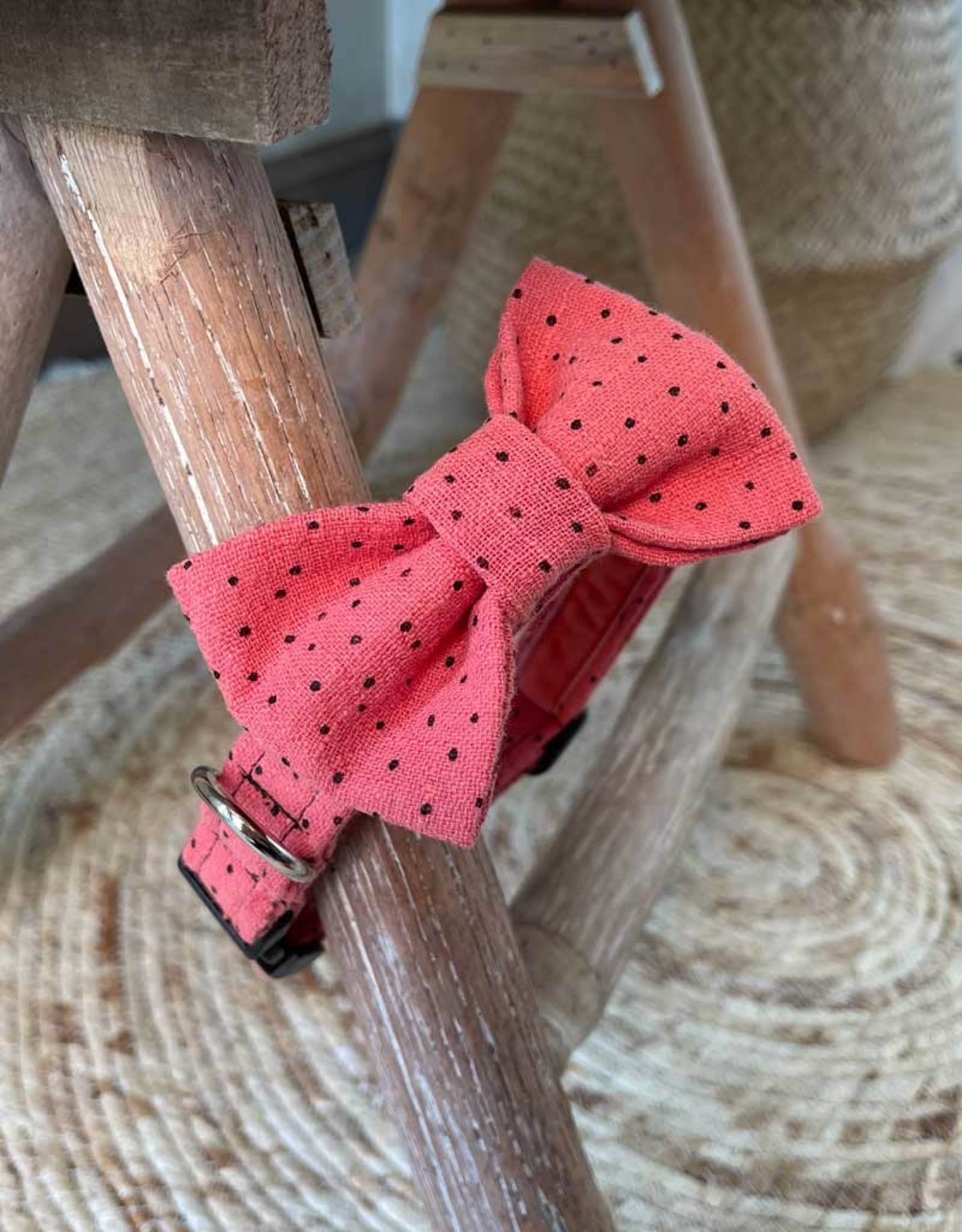 Bow Tie | Watermelon Sugar High