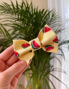 Bow Tie | One In A Watermelon