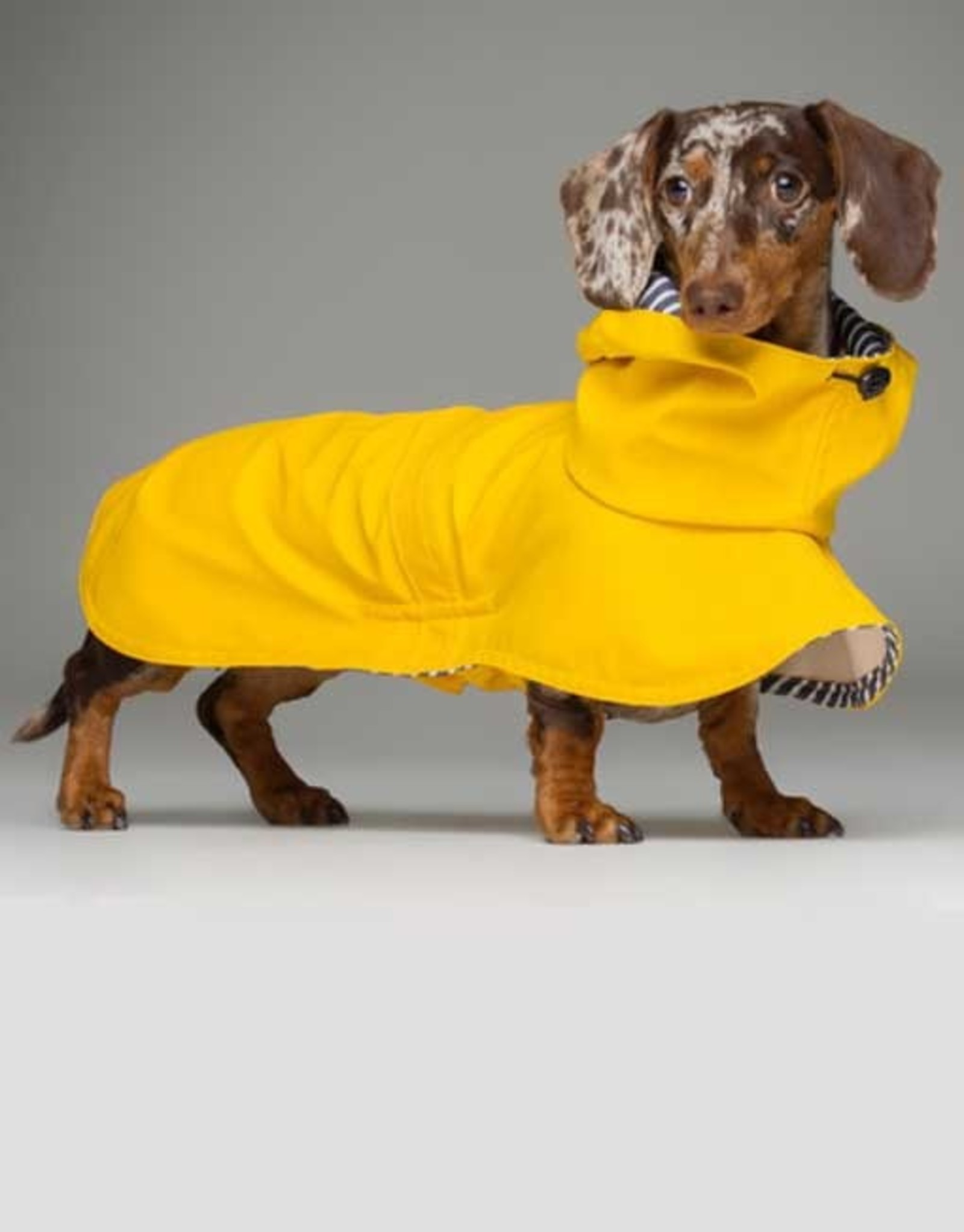tQel Tintin Raincoat | Yellow