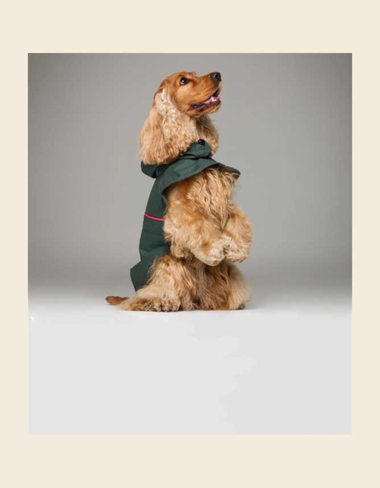 tQel Tintin Raincoat | Olive