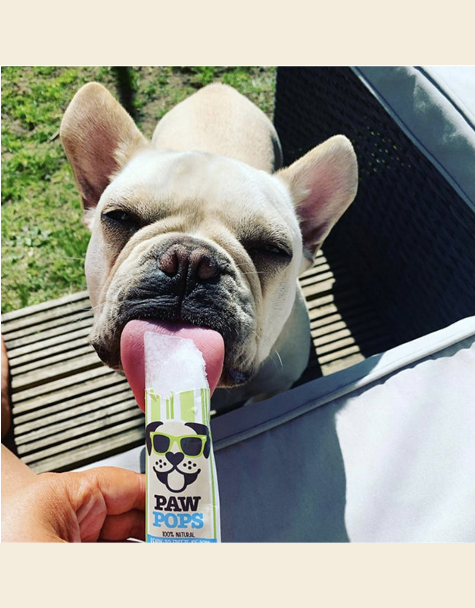 Paw Pops | Ice Pops for Dogs | Freeze at Home