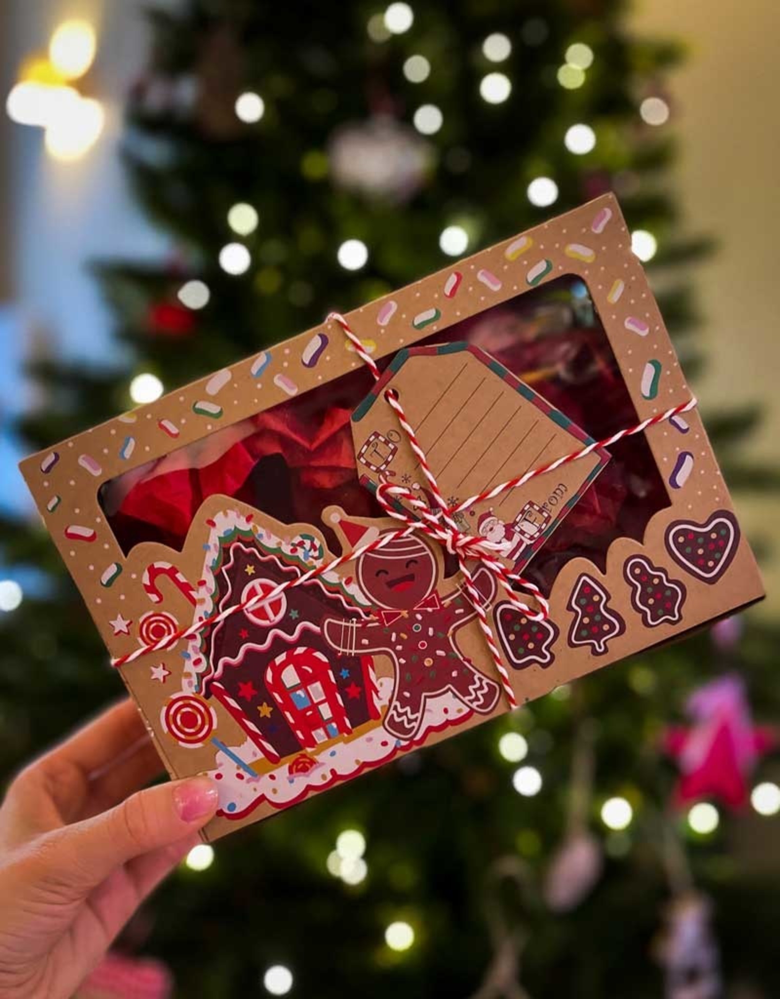 Geschenkverpakking Kerst | Small (22x15x7cm)