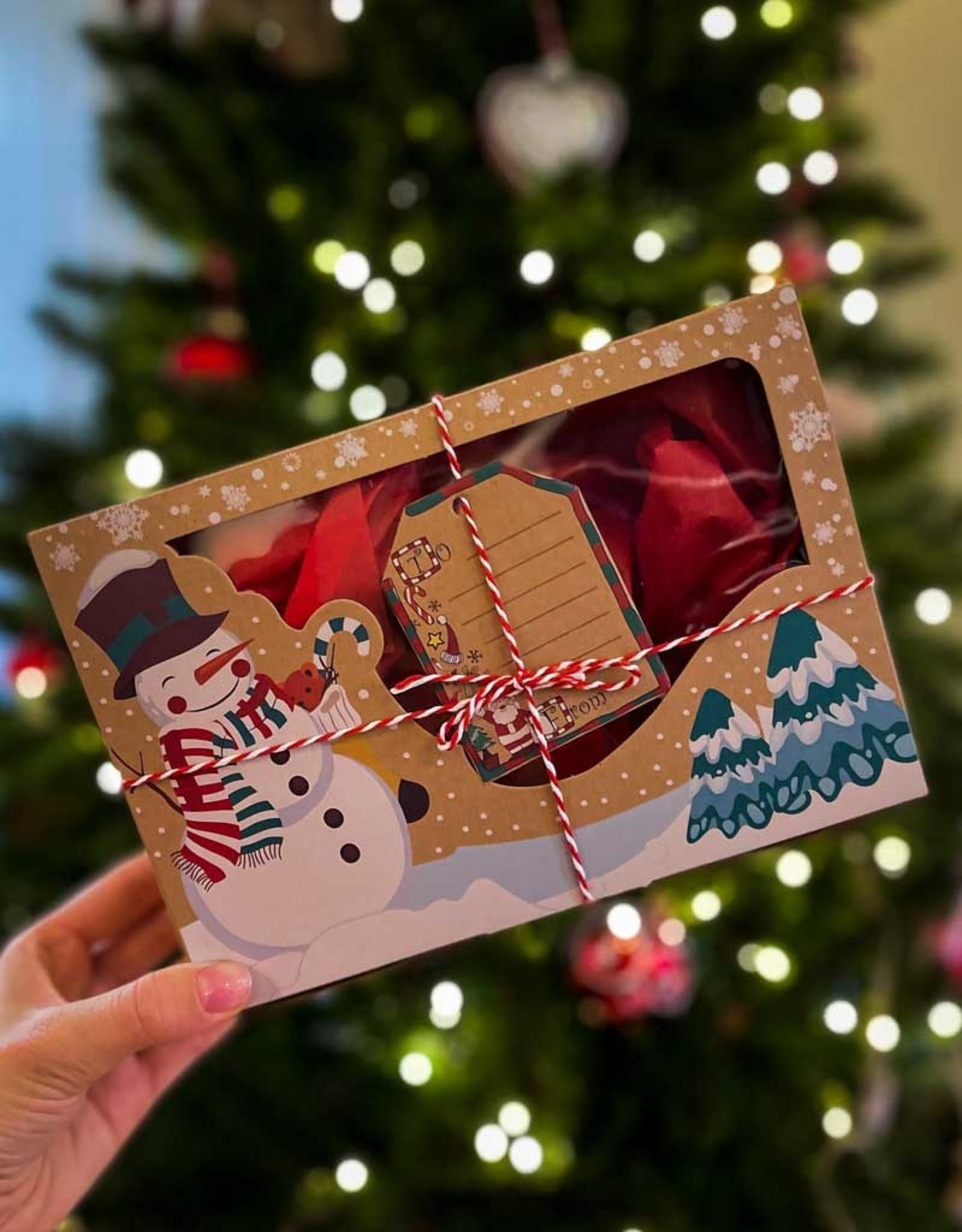 Gift Box Christmas | Small (22x15x7cm)