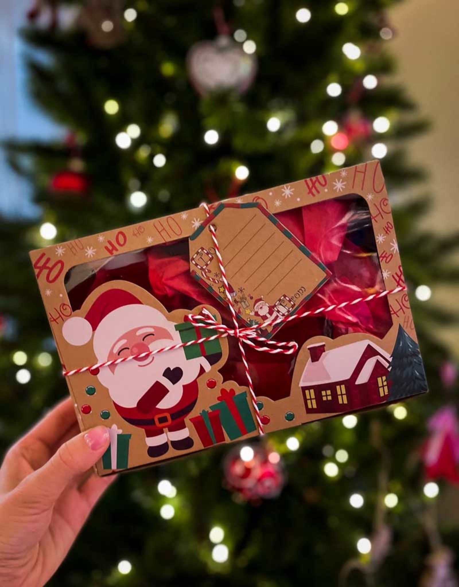 Geschenkverpakking Kerst | Small (22x15x7cm)