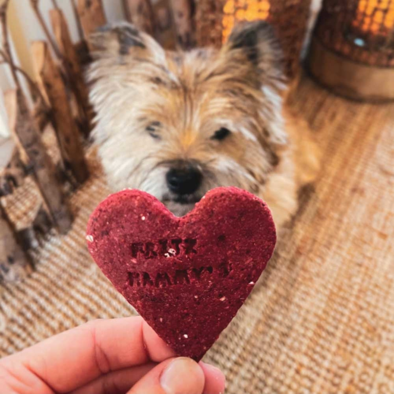 Glutenvrije Valentijn hondenkoekjes | Bietjes & Honing