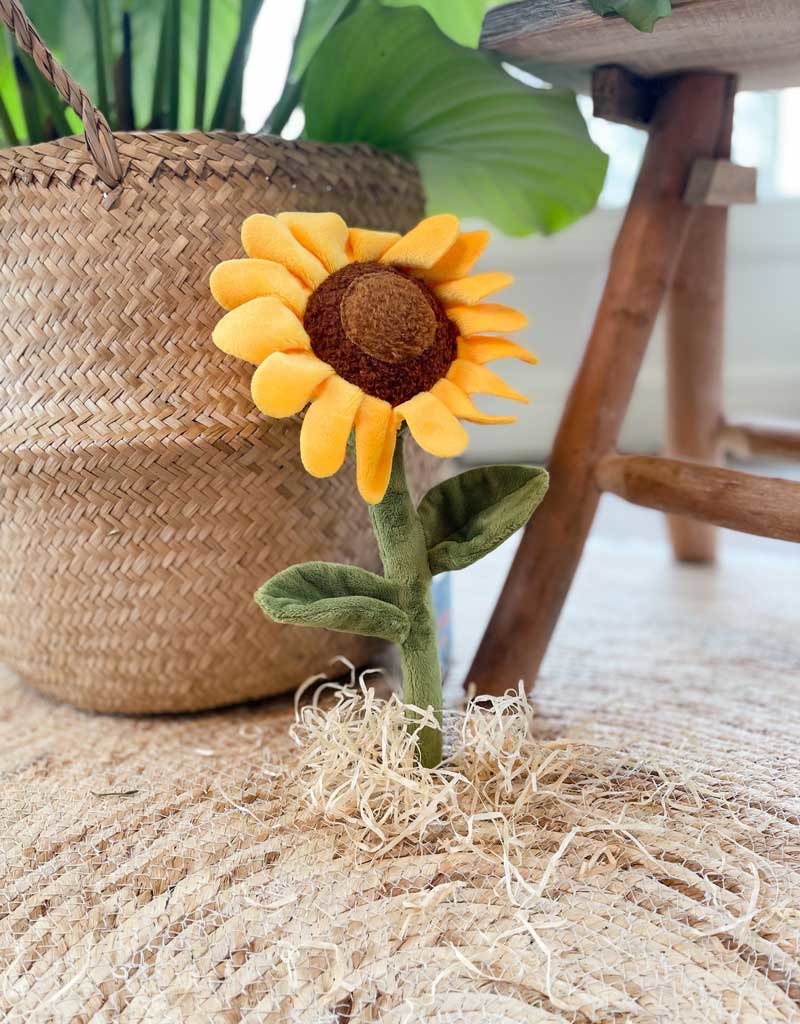 P.L.A.Y. Blooming Buddies Aloe-ve You Plant Dog Toy