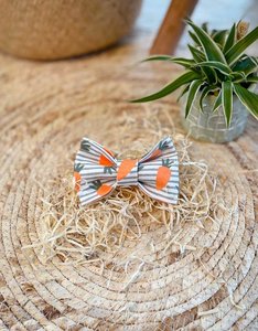 Crazy Carrot | Bow Tie