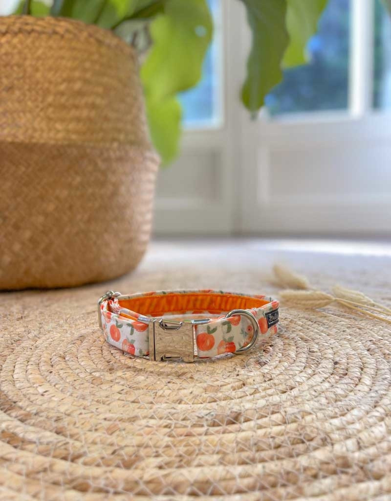 Peaches from Georgia | Dog Collar