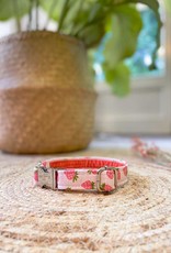 Strawberry Daiquiri | Dog Collar