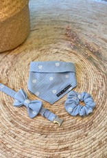 Bow Tie |  Sweet Daisy