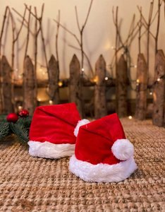 Santa Hat for Dogs | S-XL