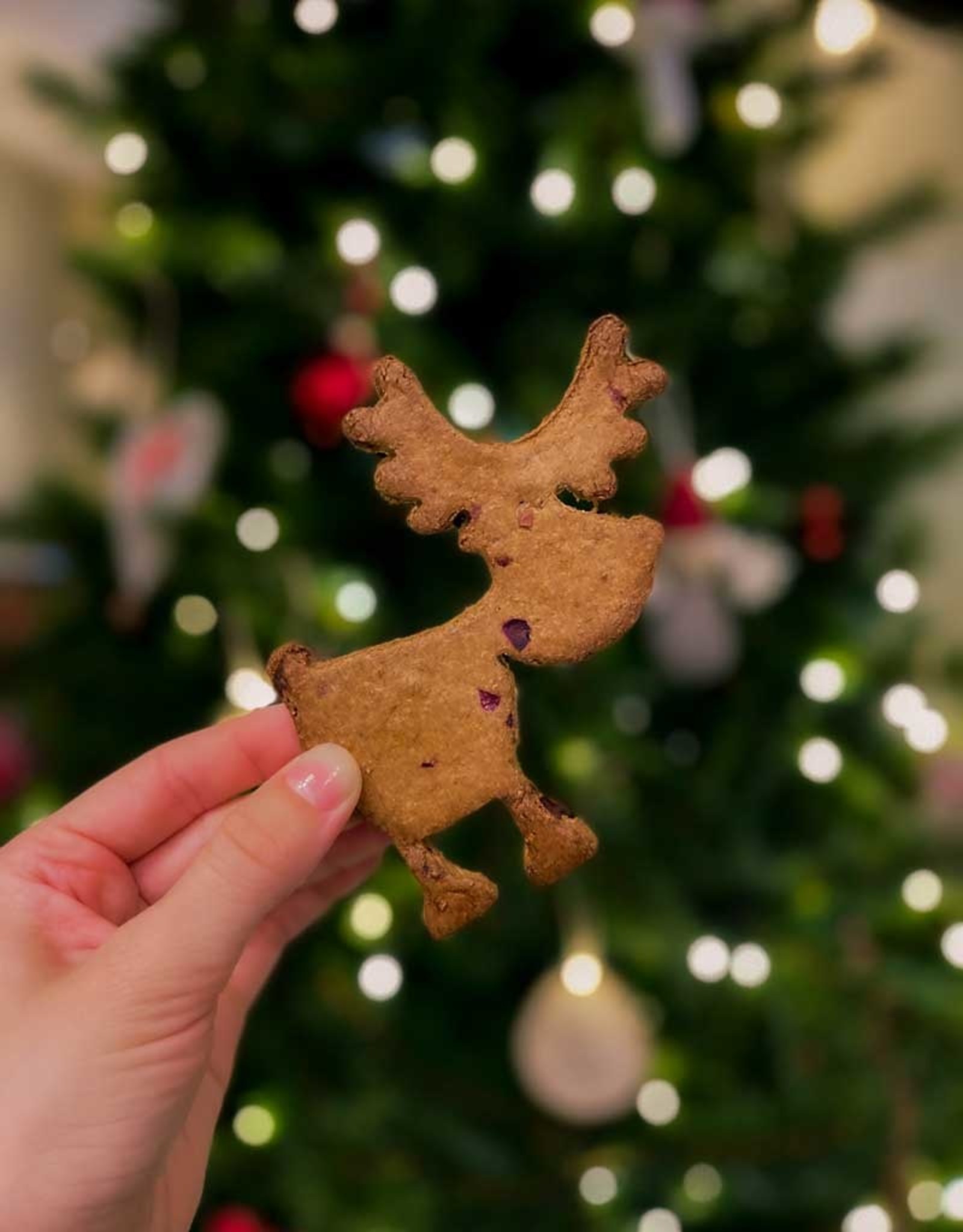 XL Christmas Cookies with Cranberries & Cinnamon | gluten free | 70g