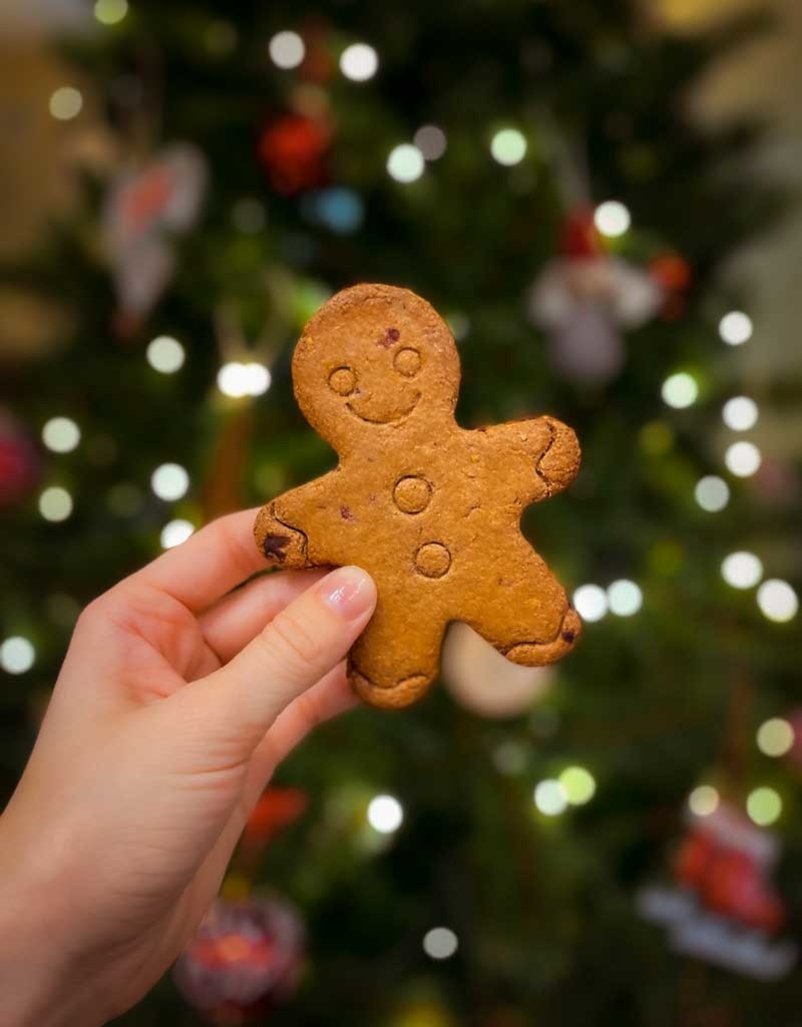 XL Kerstkoekjes met Veenbessen & Kaneel | glutenvrij | 70g