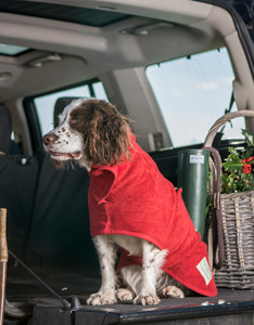 Dog Drying Coat | Brick Red