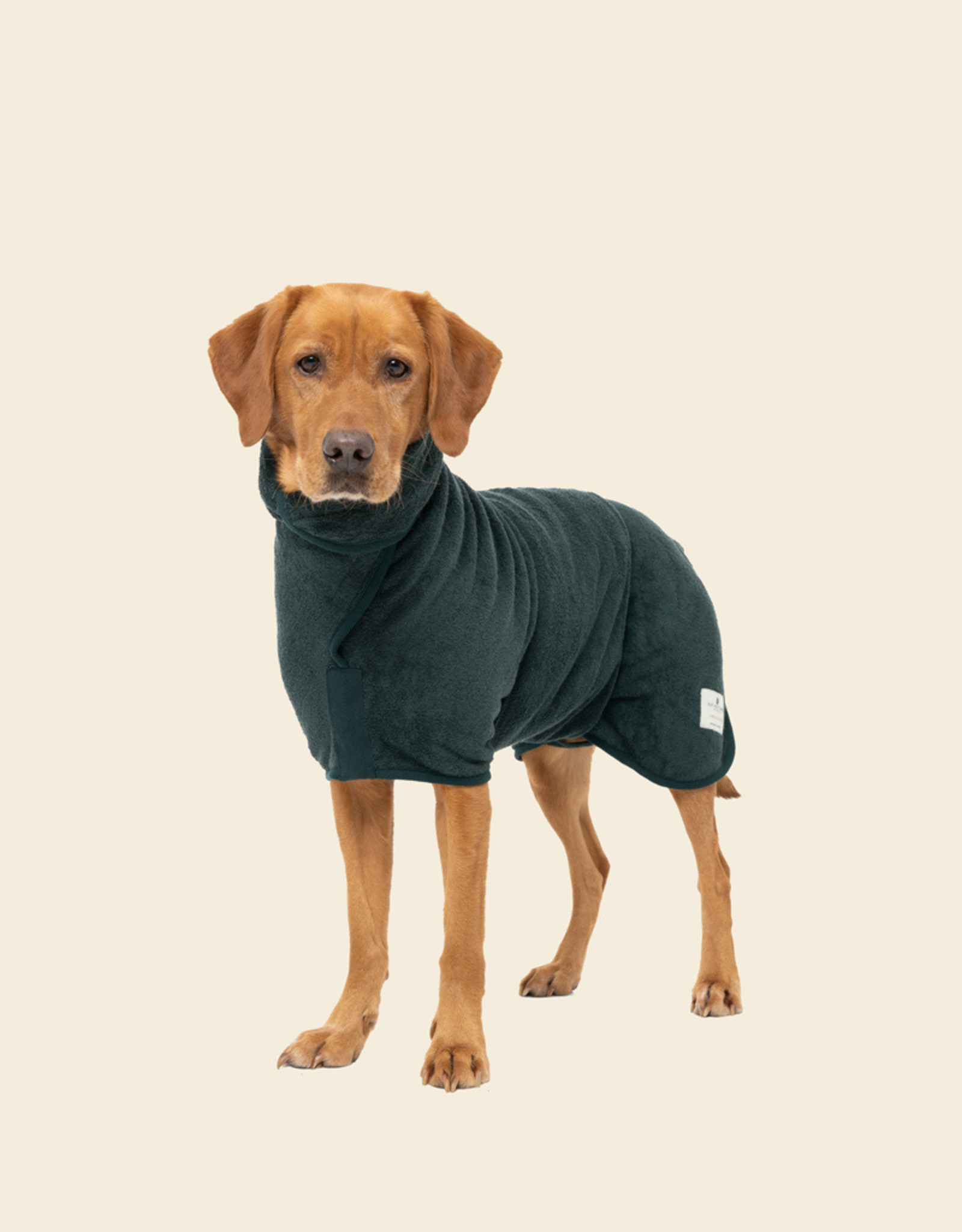 Dog Drying Coat | Forest Green