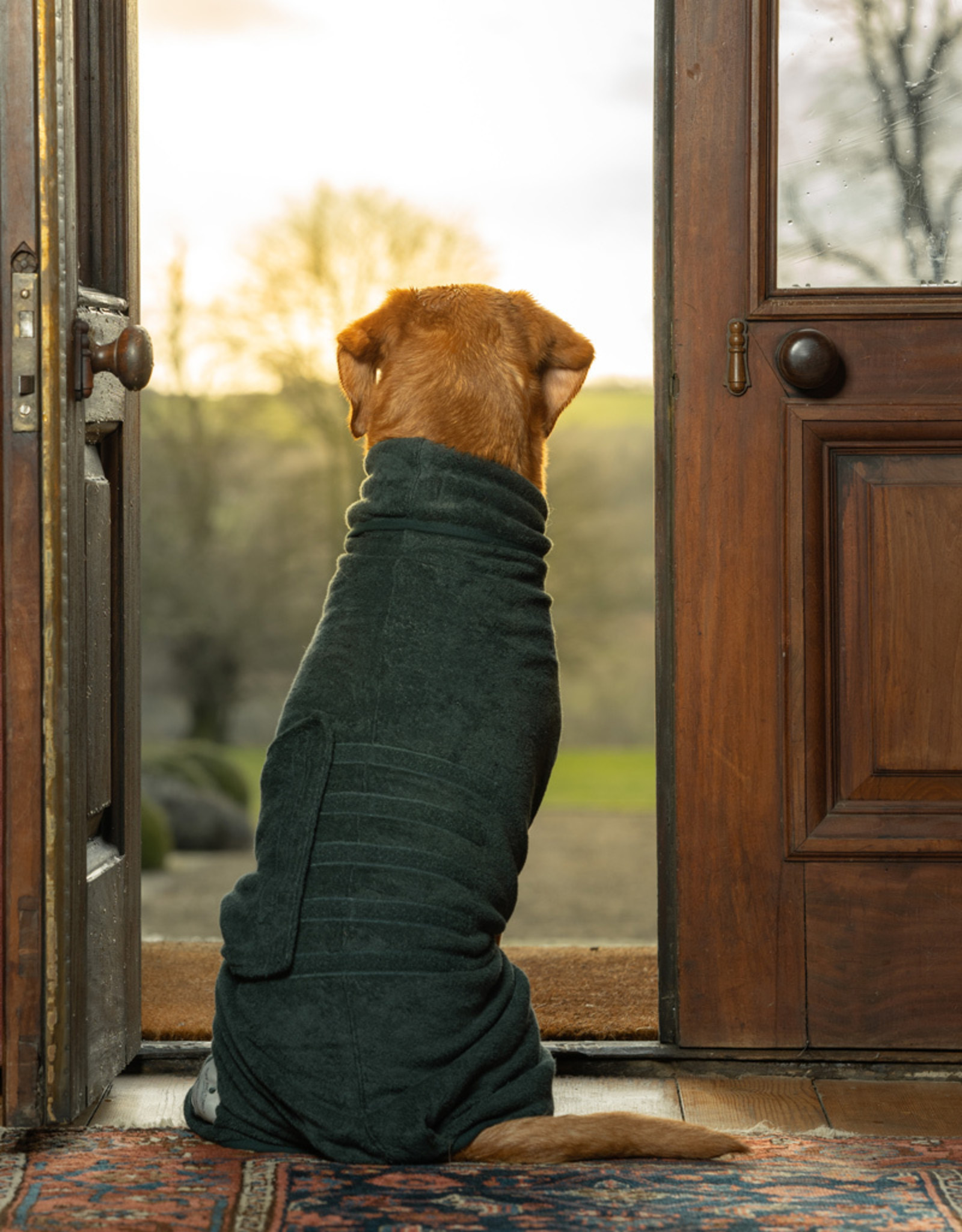 Dog Drying Coat | Forest Green