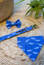 Sharky Sebastian | Dog Collar