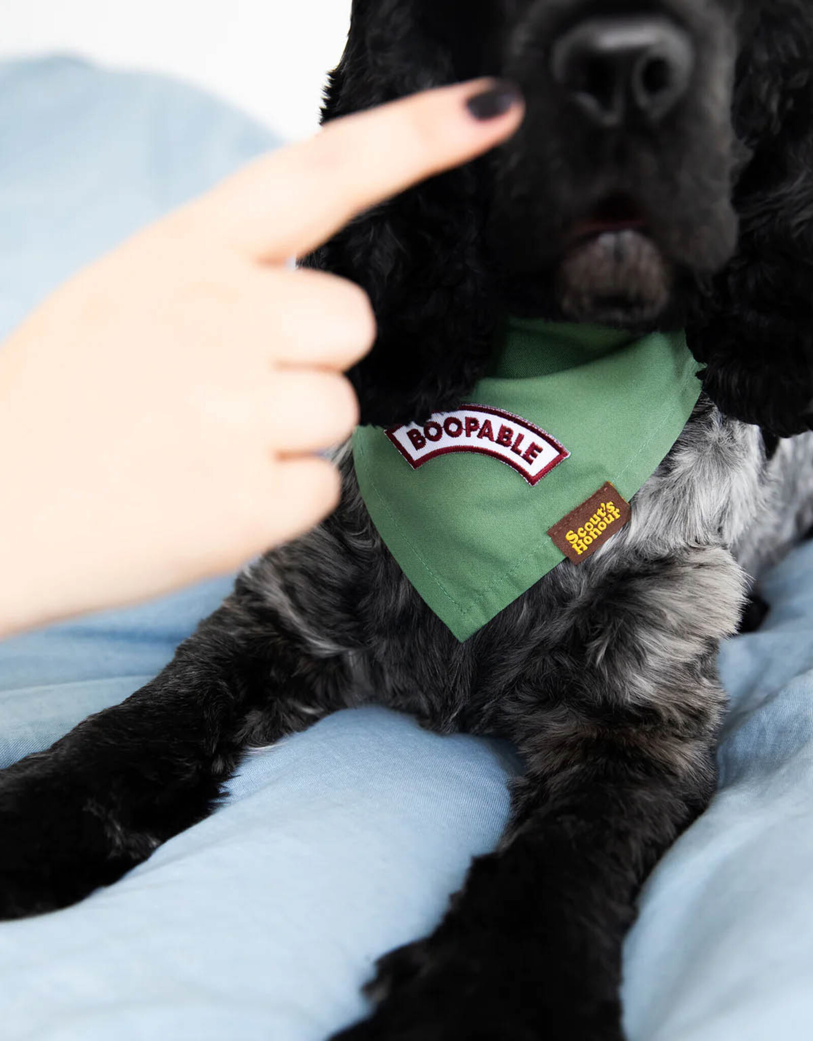 Boopable | Scout's Honour iron-on badge for dogs