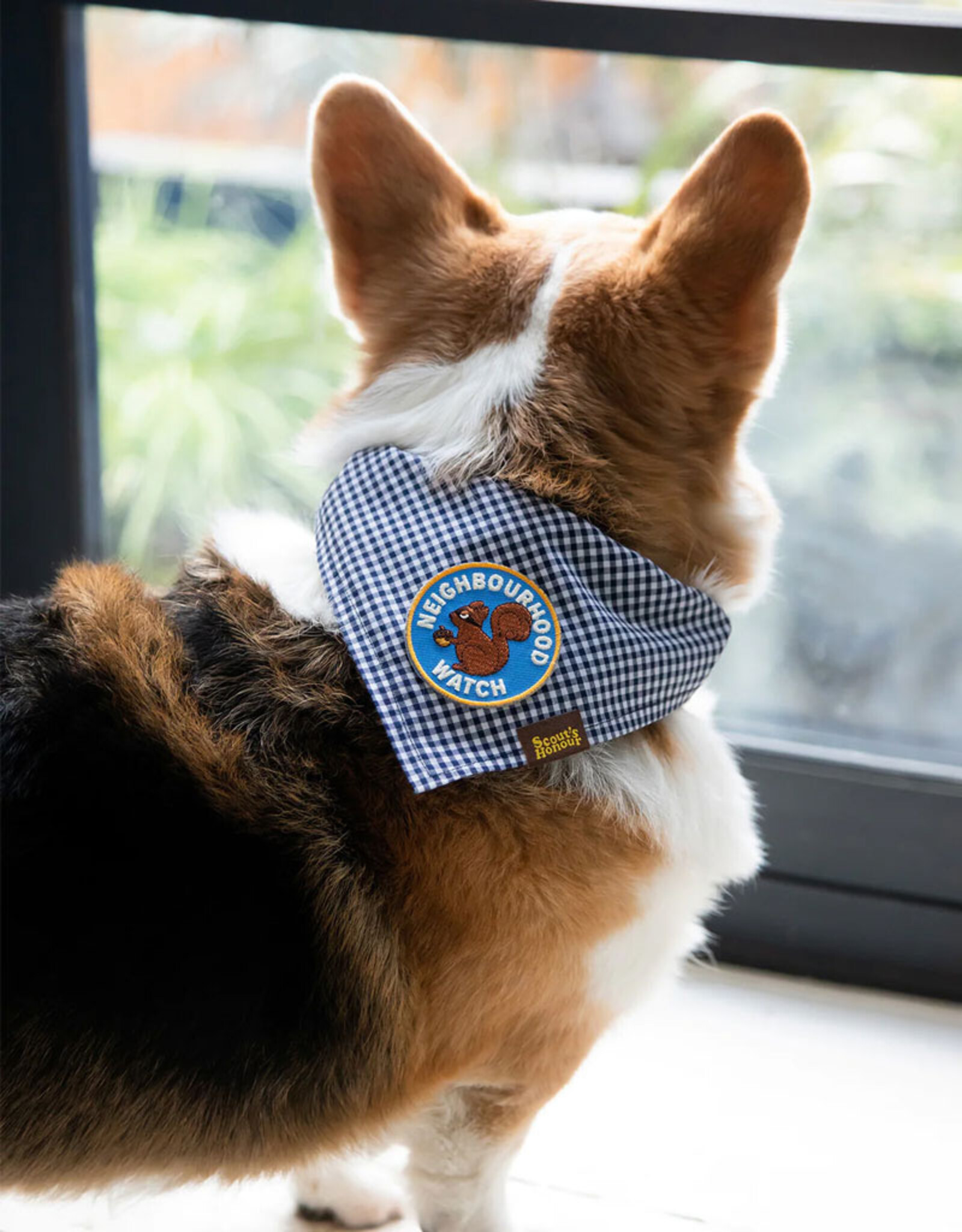 Neighbourhood Watch | Scout's Honour iron-on badge for dogs