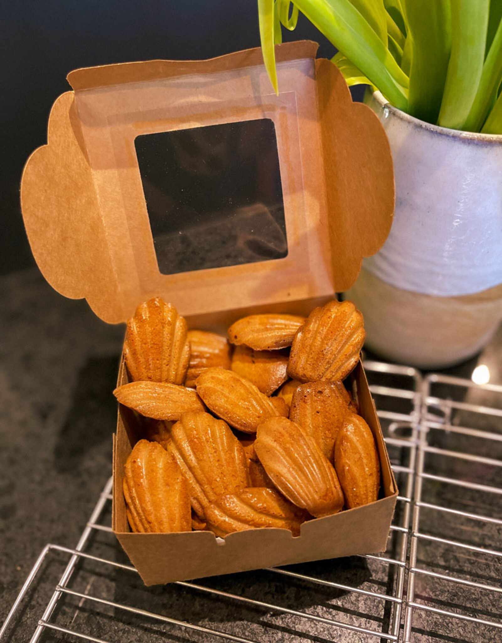 Madeleines françaises | Hondencakejes (glutenvrij)