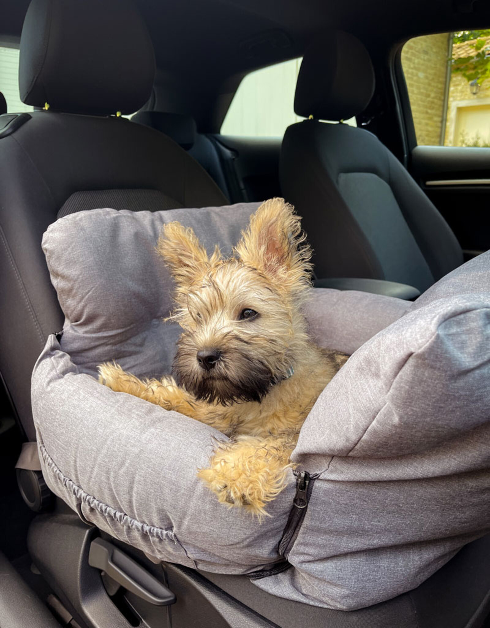 Autostoel voor honden|  Nobby Lichtgrijs