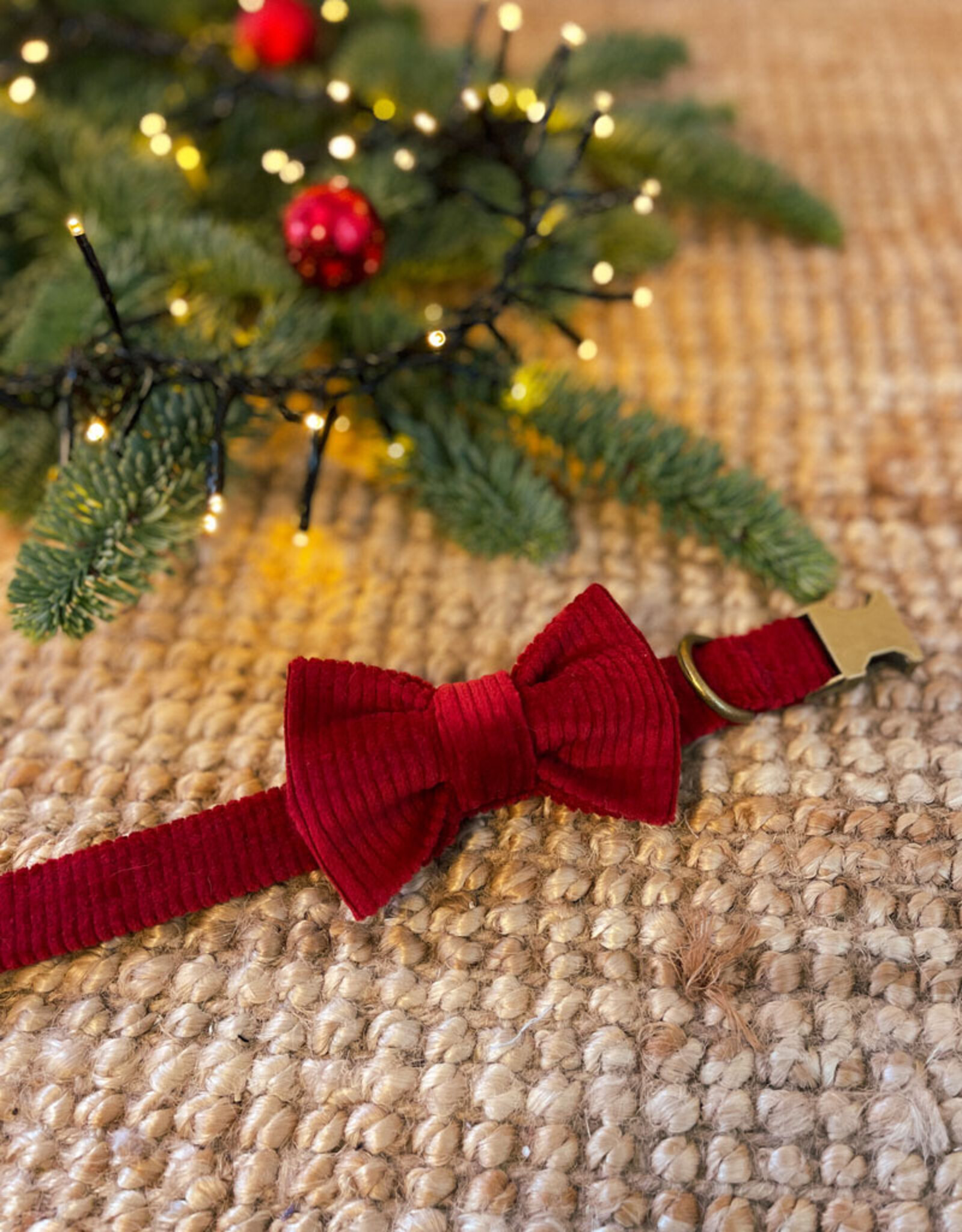 Halsband in ribstof | Cranberry Red (laatste M)