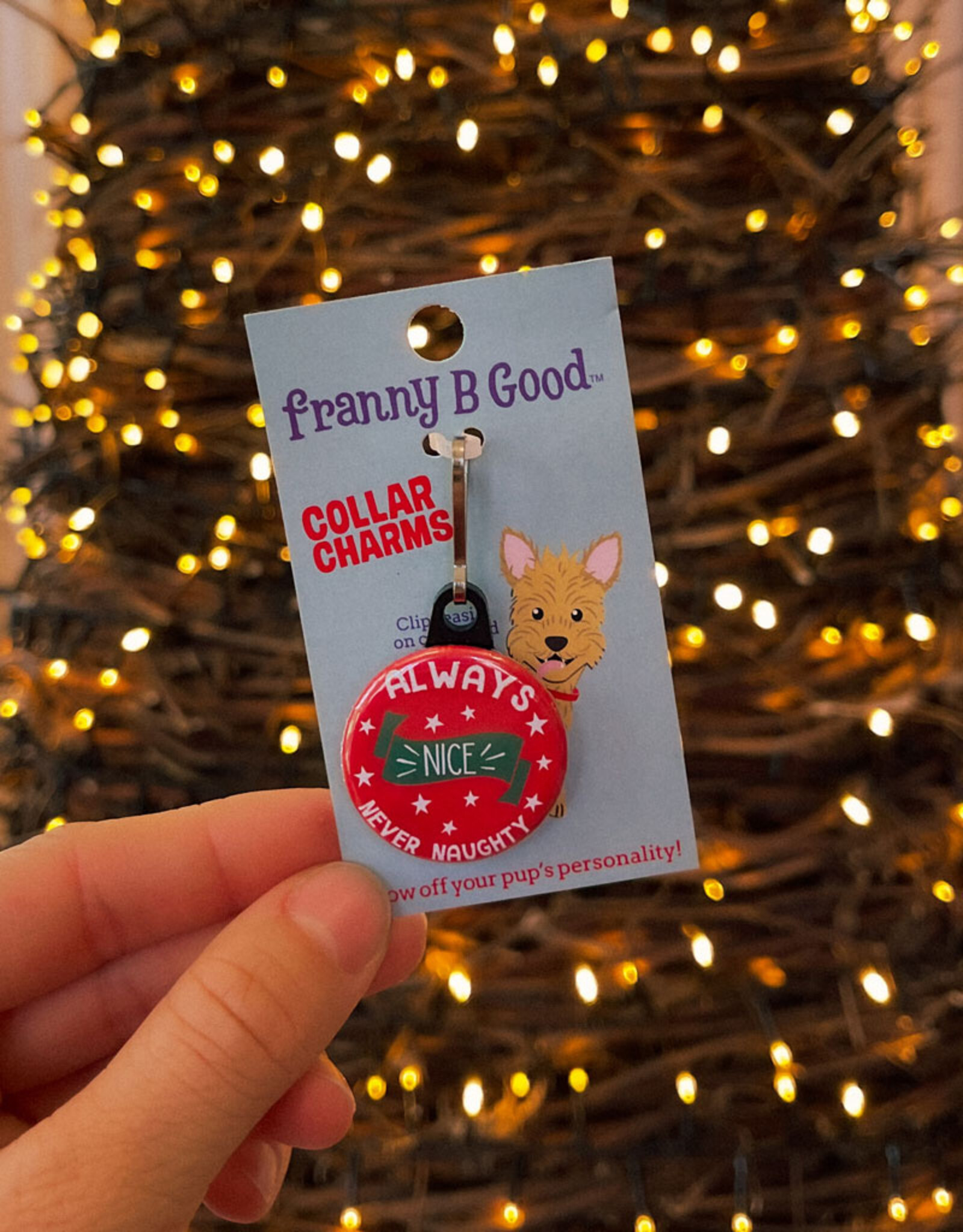 Kerst Tag | Always Nice, Never Naughty