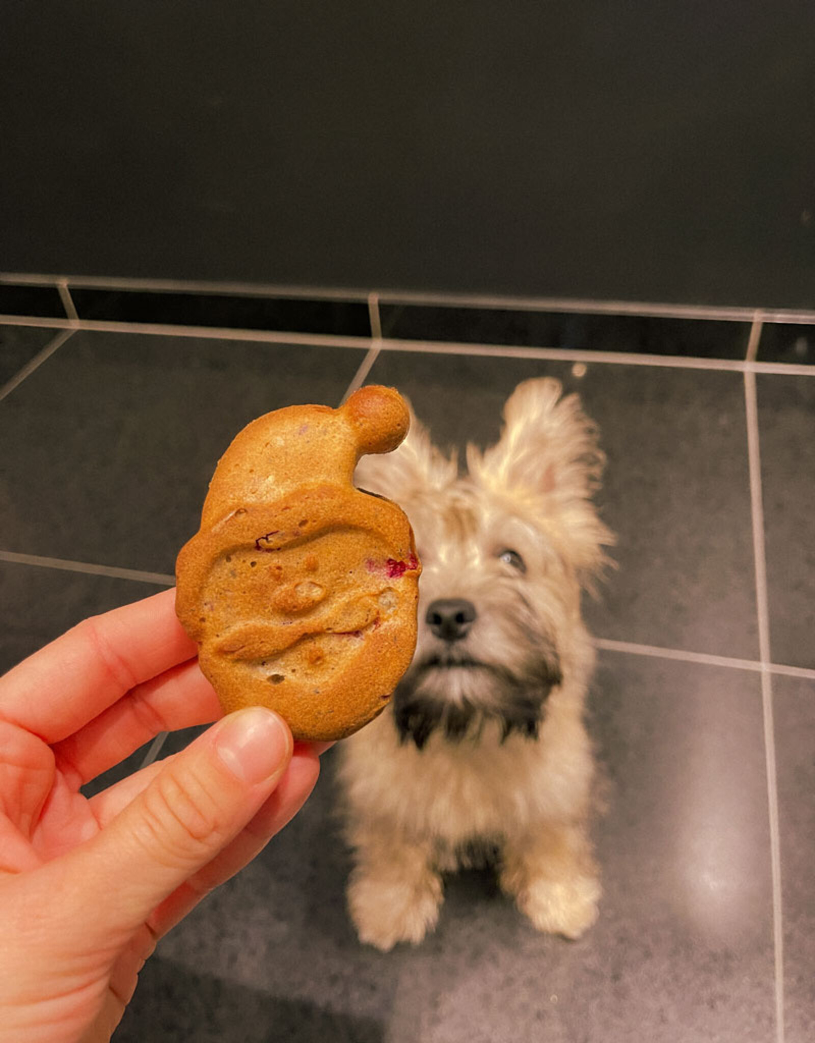 Kerstcakejes met Veenbessen & Kaneel