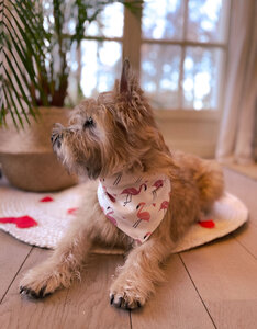 Bandana | Flamingo Love