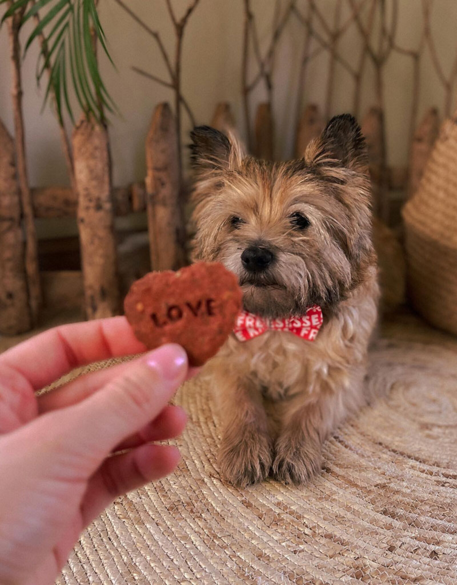 Gluten free Valentine Dog Biscuits  | Beets & Honey