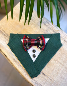 Kostuum voor honden | Groen met Schotse ruit strik.