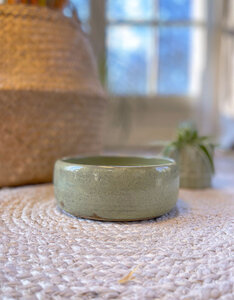 Handmade Ceramic Dog Bowl | OLIVE