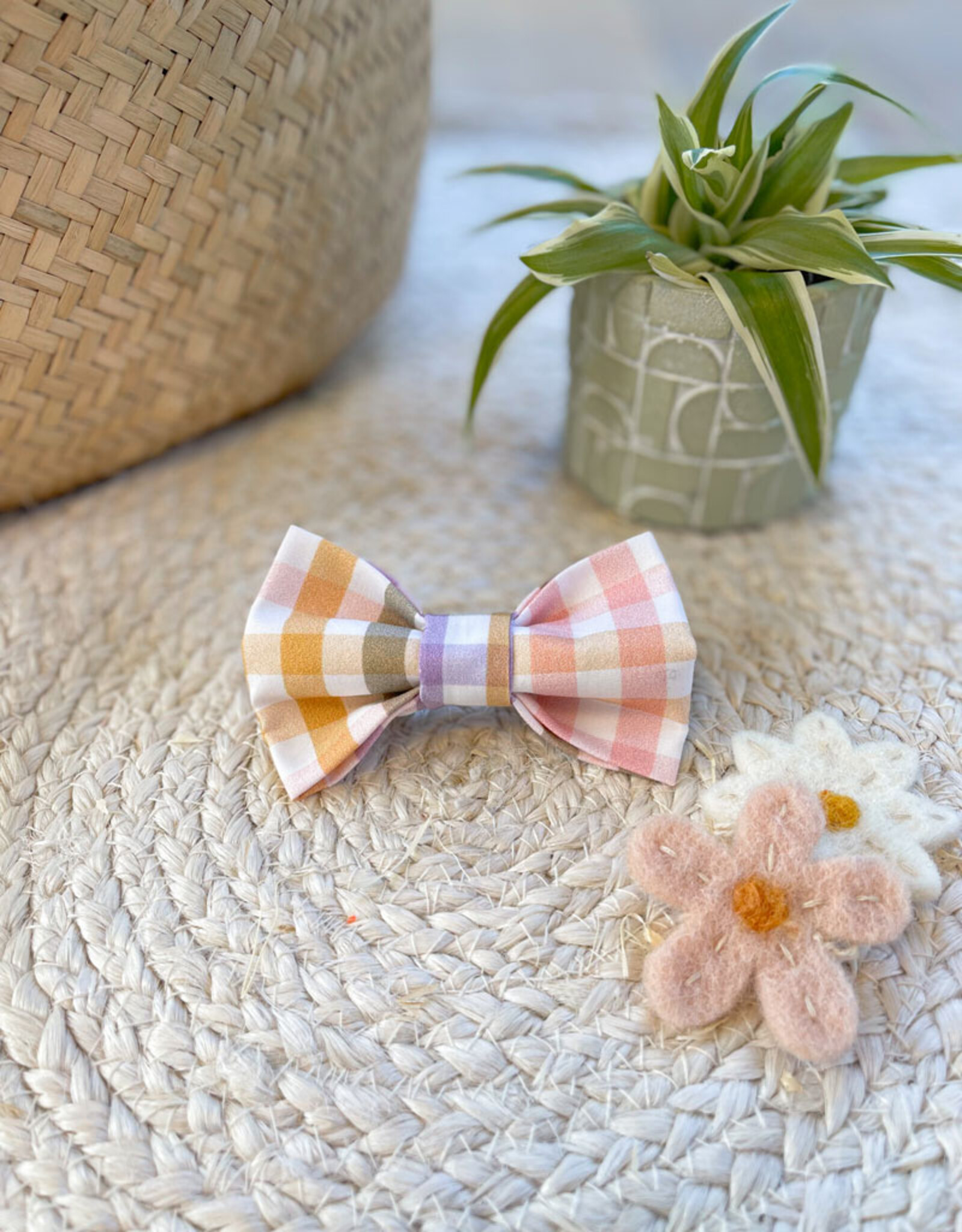 Bow Tie | Whispering Rainbow