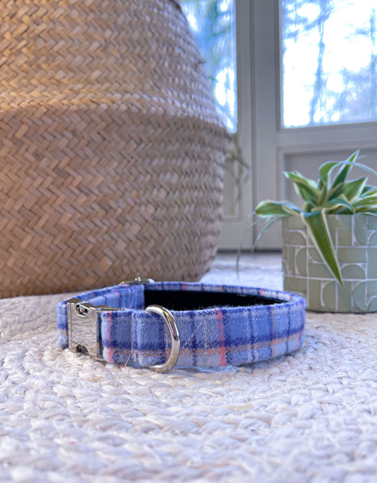 Cornflower Cloudy | Collar